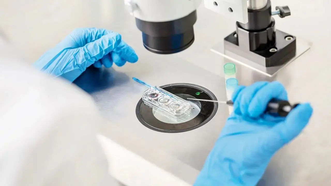 ED arrests doctor in illegal surrogacy, money laundering case in Hyderabad